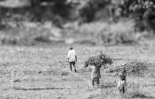 Across the Harvested Field - Fine Art Photography Prints, Limited Edition Photography Art, Monochrome Photography, Rural Photography, Art Photography Prints