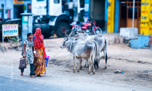 Roadside Encounter - Fine Art Photography Prints, Limited Edition Photography, Luxury Photography Art,  Museum-Quality Photography,  Fine Art Photography