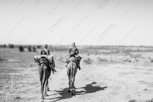 Desert Journey - Fine Art Photography Print, Limited Edition Photography, Monochromatic Photography, Desert Photography, Art Photography for Sale