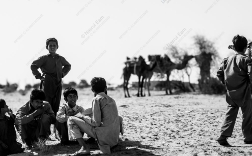Youths and Camels in a Sunlit Plain