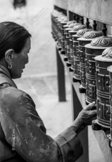 A Pilgrim's Touch at the Prayer Wheels
