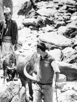 Generations on the Path - Fine Art Photography Print, Limited Edition Photography, Museum-Quality Artwork, Photography for Collectors,  Art Photography Investment