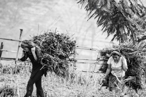 Bearing the Burden - Fine Art Photography Prints, Limited Edition Photography, Monochrome Photography,  Art Photography for Sale,  Fine Art Prints