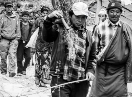 The Stone Path Procession