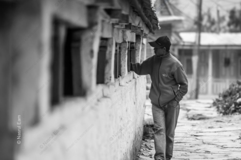 A Walker Along the Stone Wall