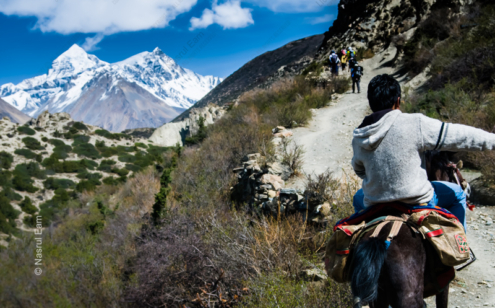 The Rider's Saddlebags - Fine Art Photography Prints, Limited Edition Photography,  Museum-Quality Photography,  Art Photography Collectors, High-End Photography Prints