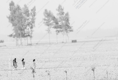 Ephemeral Journey - Fine Art Photography Print, Limited Edition Photography, Museum-Quality Artwork, Photography for Collectors, Fine Art Photography