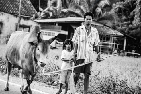 Dust and Inheritance