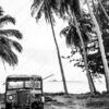 An Abandoned Truck Beneath the Palms - Fine Art Photography Print, Limited Edition Photography, Museum-Quality Photography, Black and White Photography, Fine Art Print