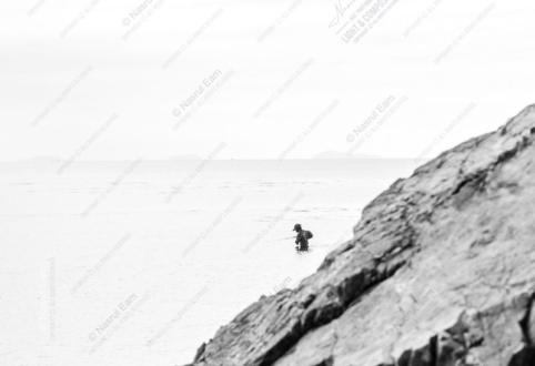 The Solitary Wader by the Rocks - Fine Art Photography Print, Limited Edition Photography, Giclée Print, Art Photography, Luxury Photography