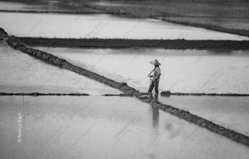 Between the Paddies - Fine Art Photography Prints, Limited Edition Photography, Monochrome Photography, Landscape Photography, Art Photography Prints