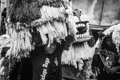 Bearers of the Lion - Fine Art Photography Print, Limited Edition Photography, Museum-Quality Photography,  Luxury Photography Art, Photography for Collectors