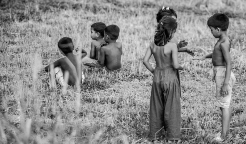 Field of Whispers - Fine Art Photography Prints, Limited Edition Photography, Giclée Prints, Art Photography Collectors, Museum Quality Prints