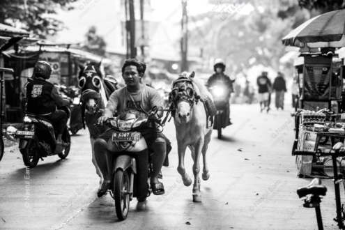 Urban Horse and Rider - Fine Art Photography Print, Limited Edition Print, Monochrome Photography, Urban Photography, Street Photography