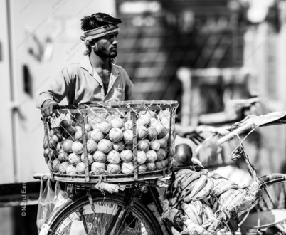 Cycle of Sustenance - Fine Art Photography Prints, Limited Edition Photography, Giclée Prints,  Art Photography Investment,  Luxury Photography Art