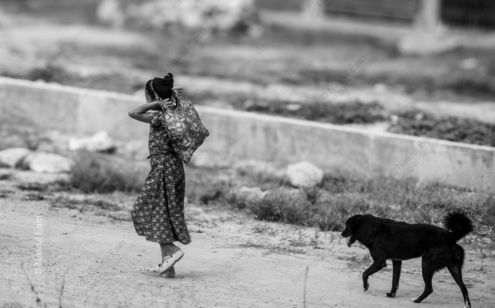 Dust and Companionship