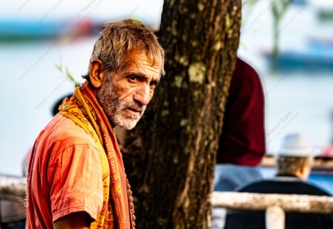 Contemplative Gaze by the River Tree