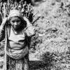 An Elder Woman Carrying Firewood - Fine Art Photography Print, Limited Edition Photography,  Museum-Quality Photography, Documentary Photography,  Black and White Photography