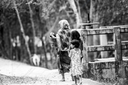 On a Rural Path - Fine Art Photography Prints, Limited Edition Photography, Museum-Quality Photography, High-End Photography Prints, Art Photography for Collectors