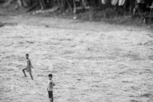 Boys in the Field - Fine Art Photography Prints, Limited Edition Photography, Monochromatic Photography, Art Photography Prints, Luxury Photography Art