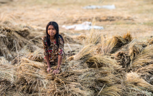 Girl Among the Harvested Fields - Fine Art Photography Print, Limited Edition Photography, Giclée Print,  Art Photography,  Rural Photography