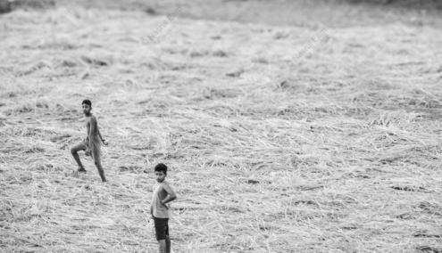 Boys in the Whispering Field - Fine Art Photography Prints, Limited Edition Photography, Monochromatic Photography,  Art Photography Prints,  Fine Art Prints