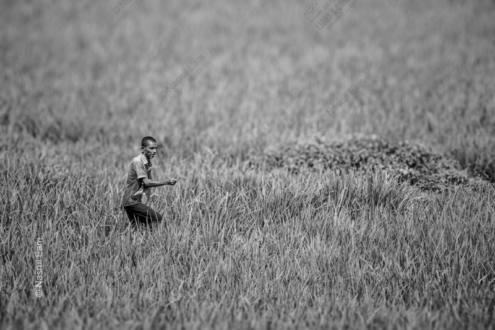 Guiding Hand in the Rice Paddies - Fine Art Photography Print, Limited Edition Photography, Museum-Quality Photography,  Contemporary Art Photography, Photography for Collectors