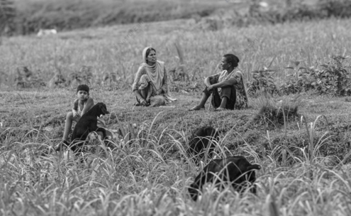Quiet Vigil in the Fields - Fine Art Photography Print, Limited Edition Photography, Museum-Quality Photography,  Art Photography Print,  Contemporary Art Photography