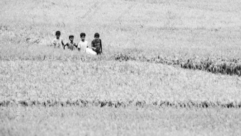 Boys in the Whispering Fields - Fine Art Photography Prints, Limited Edition Photography, Giclée Print, Art Photography for Sale,  Fine Art Photography