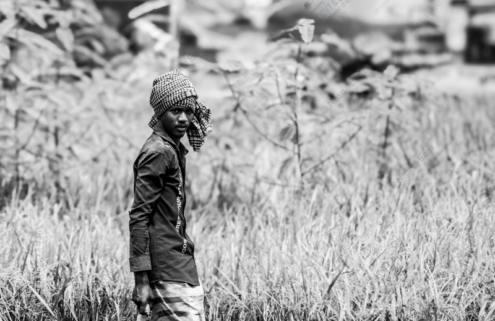 Guardian of the Rice Paddies - Fine Art Photography Print, Limited Edition Photography, Monochrome Photography,  Art Photography Print,  Museum-Quality Print