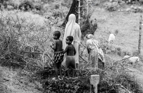 A Family Amidst the Thornwood