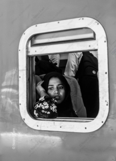A Passenger's Gaze from the Train Window