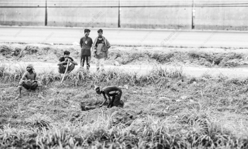 Five Figures on a Roadside Embankment