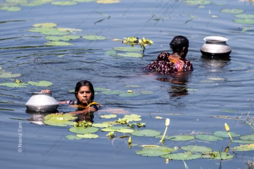 Water Bearers of the Lily Pond