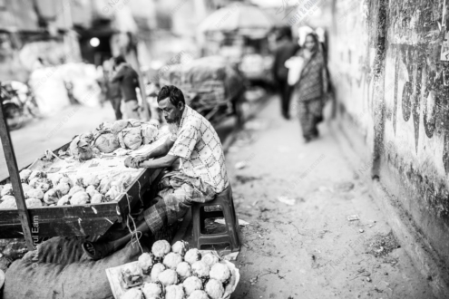 Coconuts and Contemplation