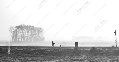 Where the World Fades