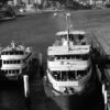 Circular Quay by Leanne Lindsay - Art Photography, Photojournalism, Photography, Circular Quay, Leanne Lindsay