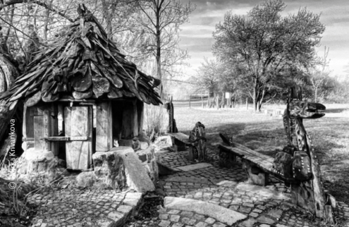 Educational Trail at Holske Ponds by Mirka Krivankova - Photojournalism, Nature Photography, Photography Education, Mirka Krivankova, Light & Composition