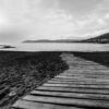 La Farella Walkway by Sonia Olmos de Castro - Photo of the Day, Photography Awards, Art Photography, Black and White Photography, Sonia Olmos de Castro