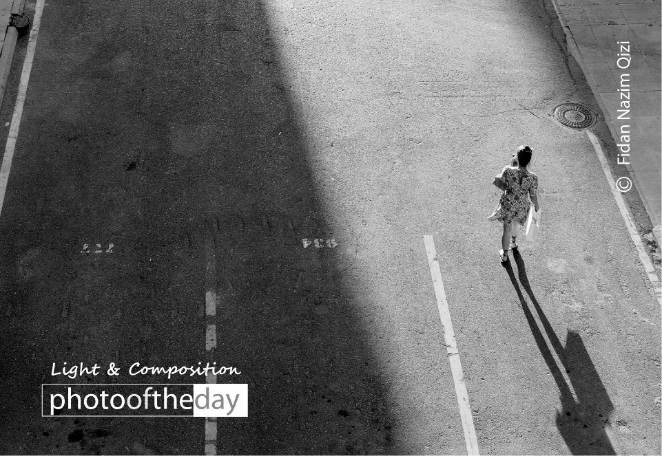 Light and Shadow, Photography, Photo of the Day, Art Photography, Online Photography Courses - Light and Shadow by Fidan Nazim Qizi Light and Shadow by Fidan Nazim Qizi - Light and Shadow, Photography, Photo of the Day, Art Photography, Online Photography Courses