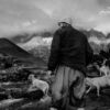 Shepherd of the Mountains by Aakash Gulzar - Photojournalism, Landscape Photography, Award-Winning Photography, Photography Courses, Light & Composition University