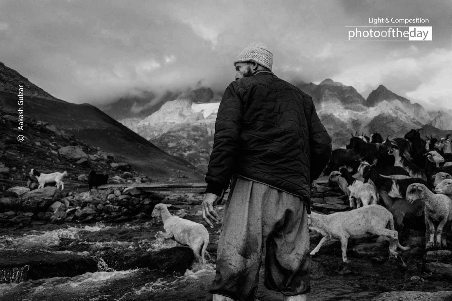 Shepherd of the Mountains by Aakash Gulzar - Photojournalism, Landscape Photography, Award-Winning Photography, Photography Courses, Light & Composition University