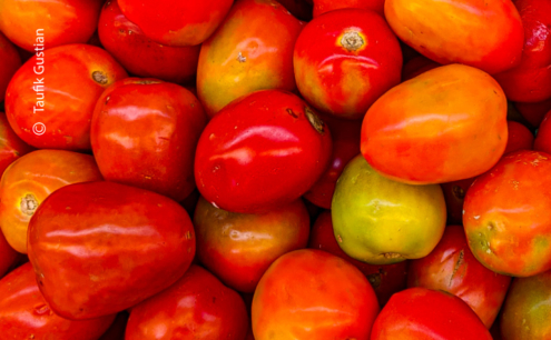 Green in between Red by Taufik Gustian - Still Life Photography, Photo of the Day, Photography Awards, Online Photography Courses, Art Photography
