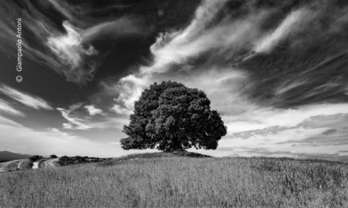 Silent Secrets by Giampaolo Antoni - Art Photography, Nature Photography, Giampaolo Antoni, Photography Awards, Photo of the Day