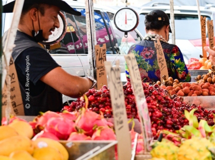 The Joy of Picking up Fresh Fruits by Jose Juniel Rivera-Negron - Street Photography, Photojournalism, Art Photography, Photography Awards, Photo of the Day