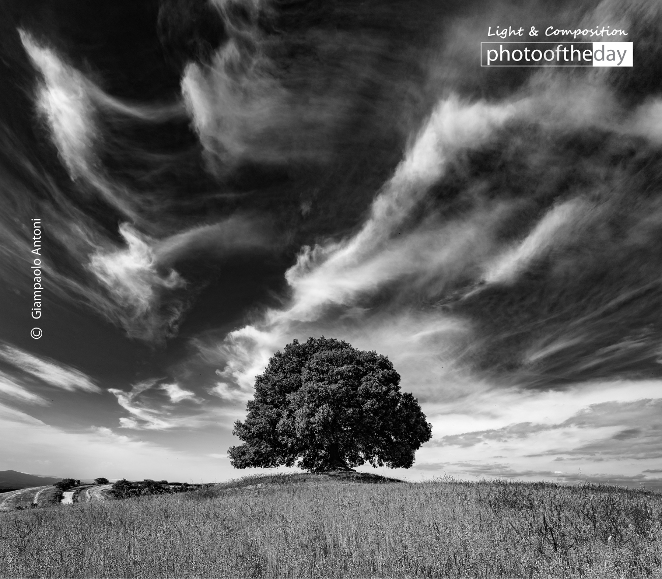 Silent Secrets by Giampaolo Antoni - Art Photography, Nature Photography, Giampaolo Antoni, Photography Awards, Photo of the Day