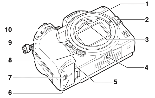 Nikon Z5 - Nikon Z5, photography, photojournalism, online photography courses, photography portfolio